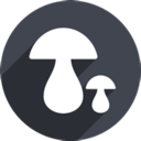 Mogu VPN (Free Version)